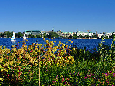 Foto Blick nach Osten von der Außenalster