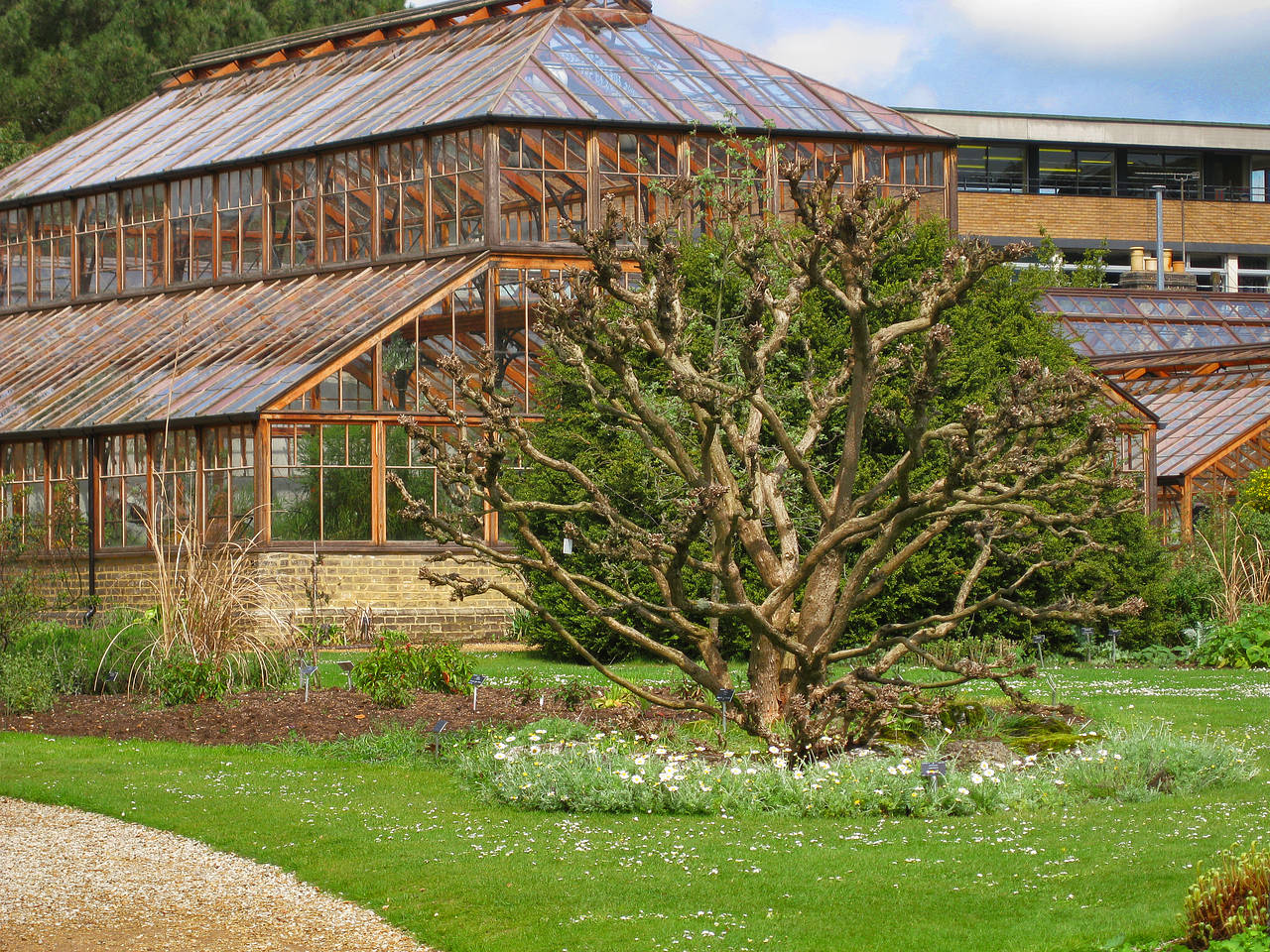 Cambridge Botanic Garden Foto 