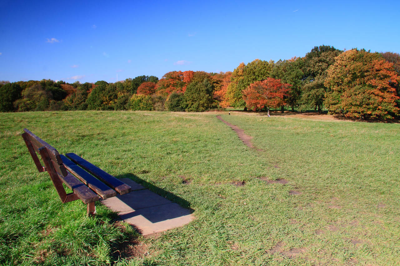 Foto Hampstead Heath - London